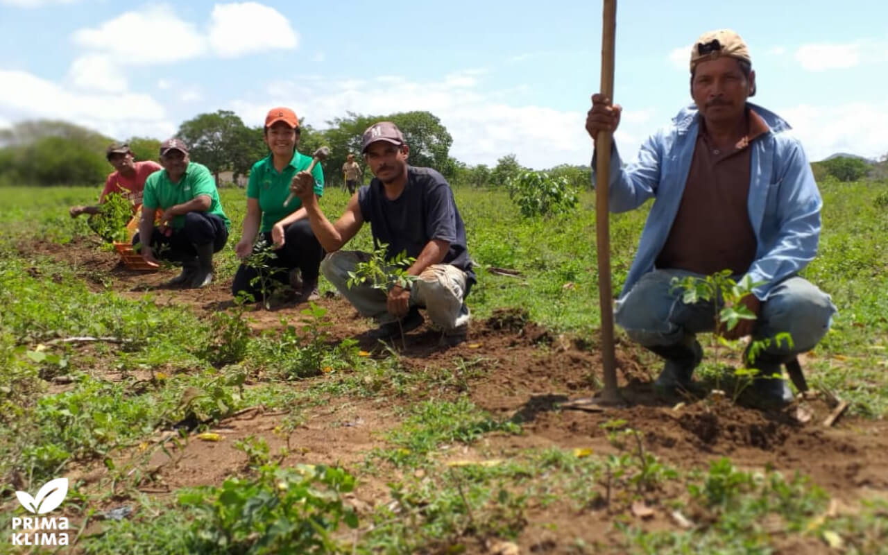 With a donation of 5,000 Euro to PRIMAKLIMA, meteocontrol GmbH supports a smallholder family in Nicaragua in the reforestation of a fallow area.